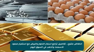 انخفاض متنوع.. تفاصيل تراجع أسعار اللحوم والبيض مع استمرار صعود الأسمنت والذهب في السوق اليوم
